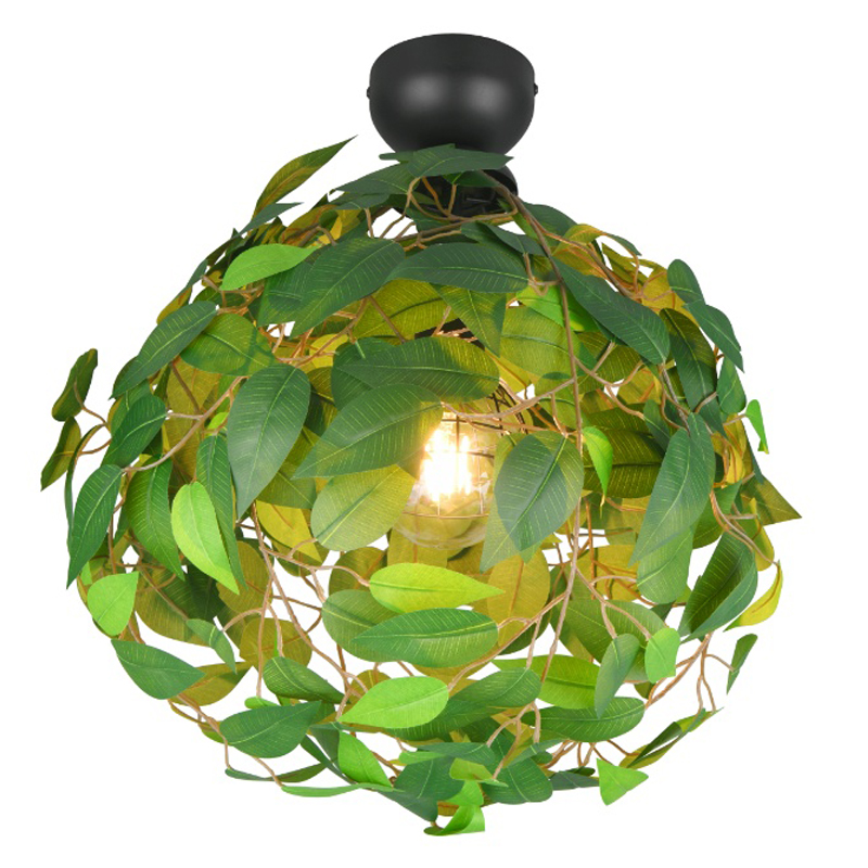 Grøn plafond design, Urwa