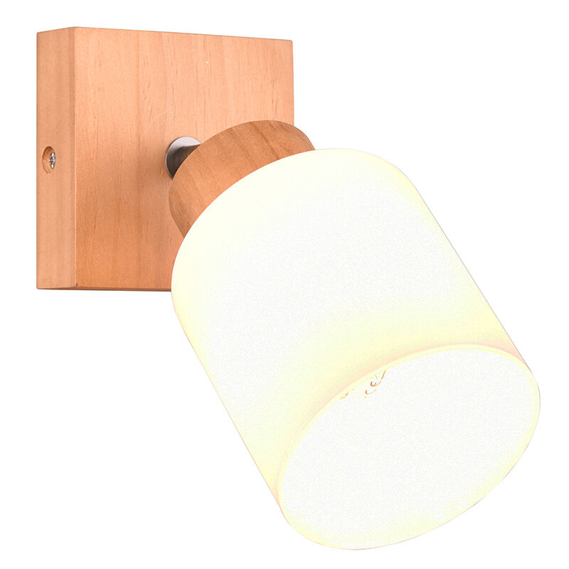 Træ vægspot brun, Myron