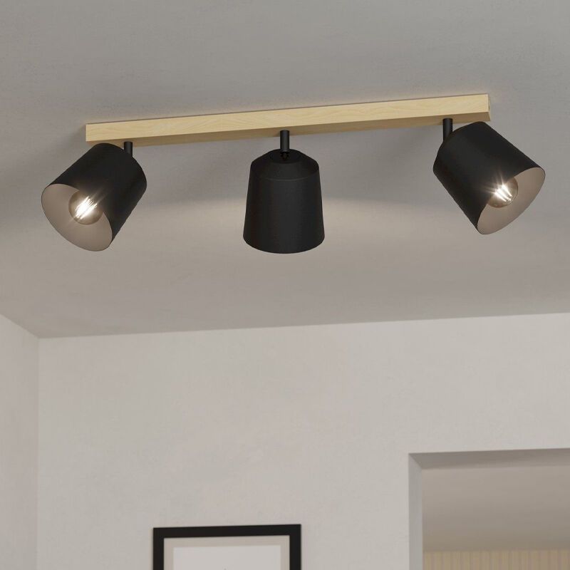 Træ loftspot brun, Teddy