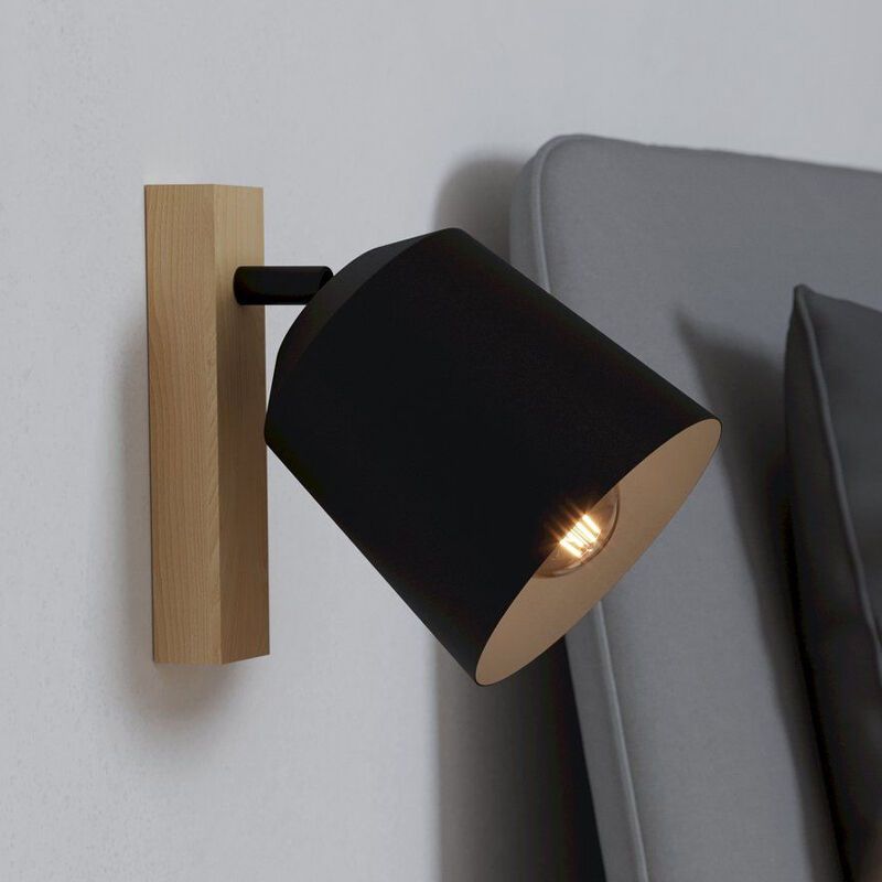 Træ loftspot brun, Teddy