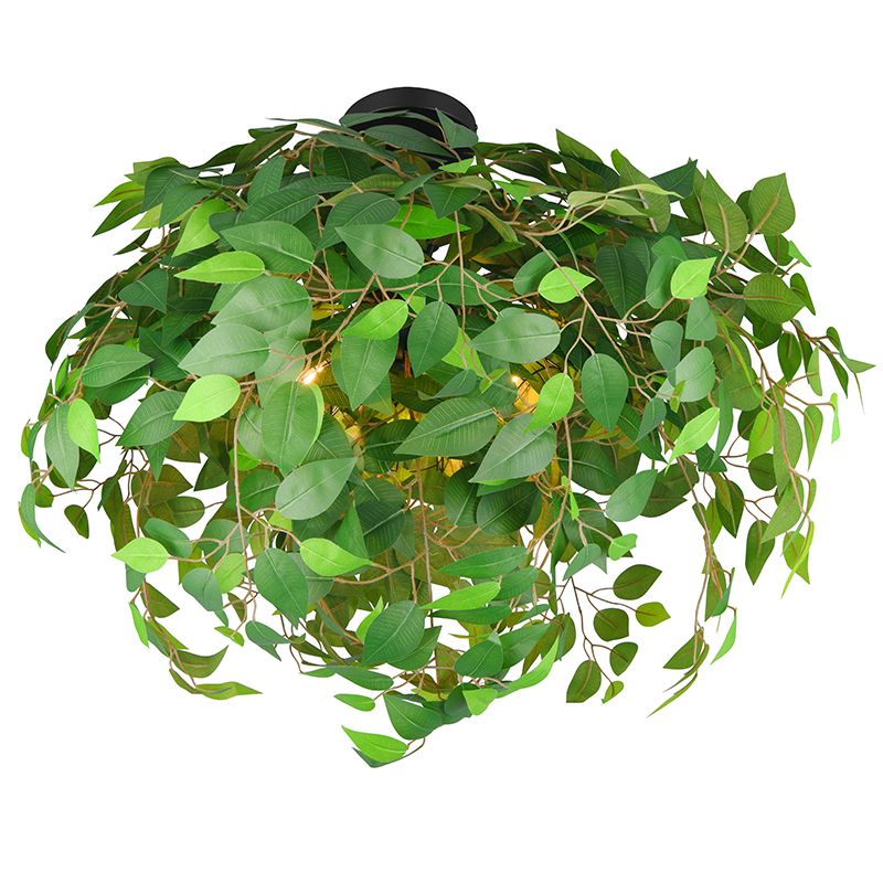 Grøn plafond design, Urwa