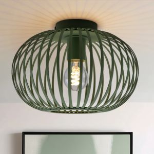 Industri plafond grøn, Lieve