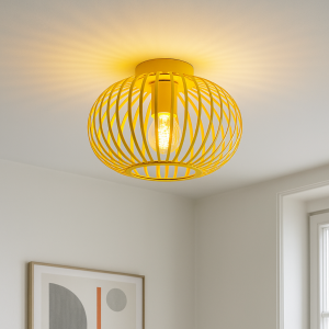 Industri plafond gul, Lieve