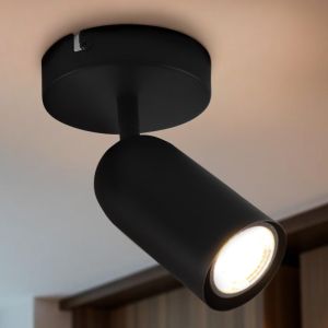 Modern loftspot sort, Jacey