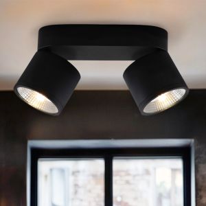 Modern loftspot sort, Thomas