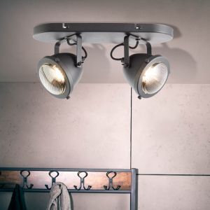 Industri loftspot sort, Liza