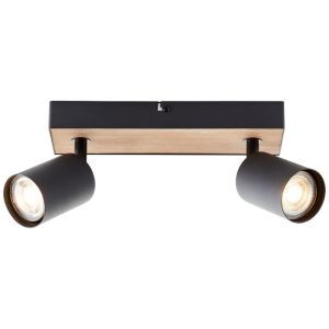 Modern loftspot sort, Leendert