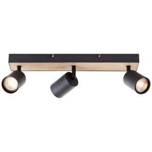 Modern loftspot sort, Leendert