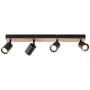 Modern loftspot sort, Leendert