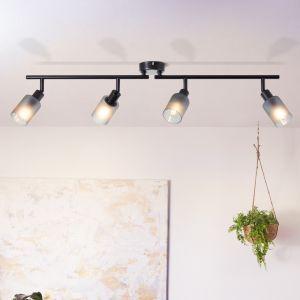 Glas loftspot sort, Fanny