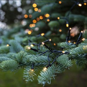 7,2m LED julelys på batteri, 96 lamper, Indendørs og Udendørs