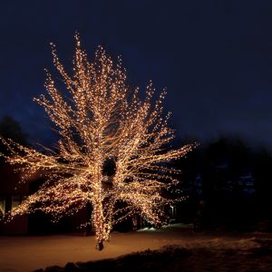 100 m sort træbelysning, der kan forbindes, 10 LED'er p/meter, IP67 - Varm hvid