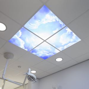 Fotoprintsky - sæt med 2 akrylplader med print, til 60x60 cm LED paneler