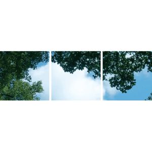 Fotoprintsky med skov - sæt med 3 akrylplader med print, til 60x60 cm LED-paneler