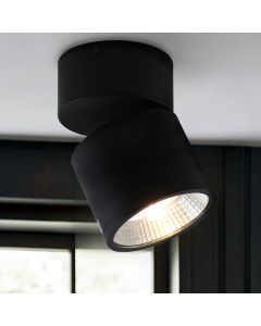 Modern loftspot sort, Thomas