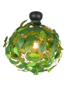 Grøn plafond design, Urwa