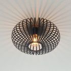 Industri plafond sort, Lieve
