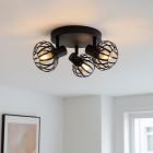 Industri loftspot sort, Lieve