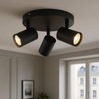 Modern loftspot sort, Elena