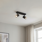 Modern loftspot sort, Elena