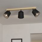 Træ loftspot brun, Teddy