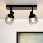 Grå loftspot klassisk, Bjorn