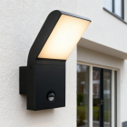 Aluminium udendørs væglampe med bevægelsessensor antracit, Andor, 12W, 4000K LED, IP54