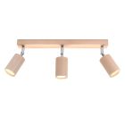 Træ loftspot brun, Fredrik