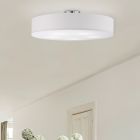 Nikkel plafond metal, Ledbury