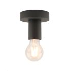 Modern roset sort, Rami