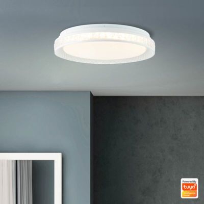 Modern smart loftlampe gennemsigtig, Rashmi, 24W, varm til kold hvid justerbar LED