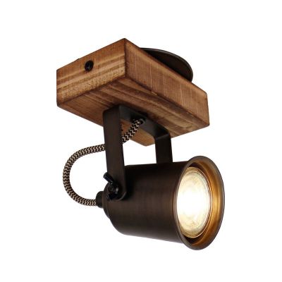 Træ loftspot sort, Clazina