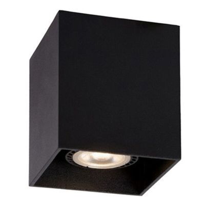 Sort påbygningsspot modern, Raina