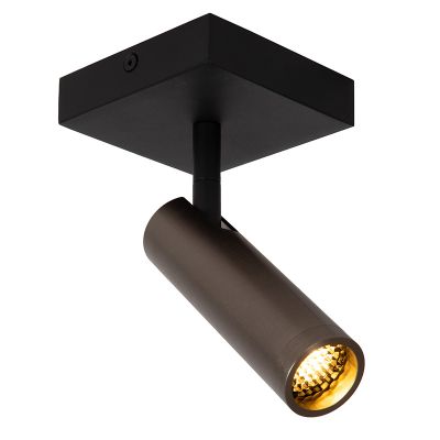 Grå loftspot modern, Grado