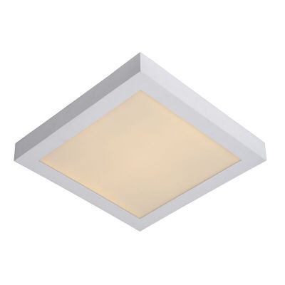 Hvid plafond modern, Brice, 30W, 3000K LED, IP44