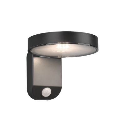 Antracit udendørs væglampe med bevægelsessensor modern, Sunny, 4,5W, 3000K LED, IP44