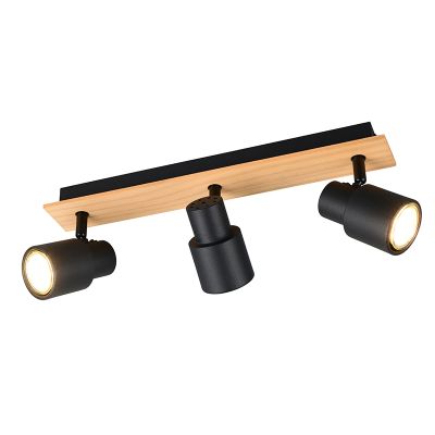 Sort loftspot modern, Rajeev