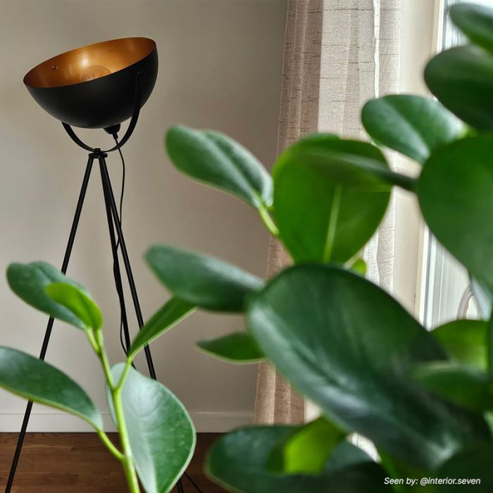 Modern gulv lampe guld, Brenna