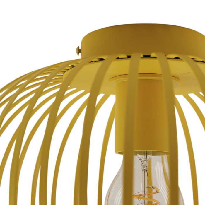 Industri plafond gul, Lieve