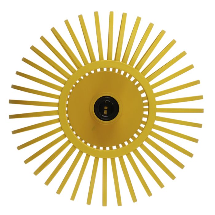 Industri plafond gul, Lieve