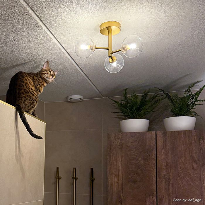 Modern loftlampe badeværelse guld, Amer, IP44