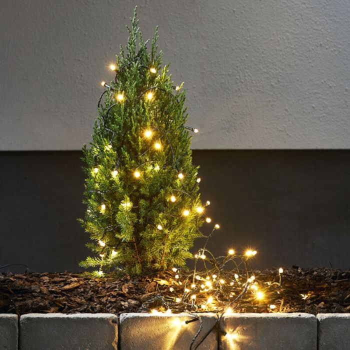 1,8m LED julelys på batteri, 24 lamper, Indendørs og Udendørs