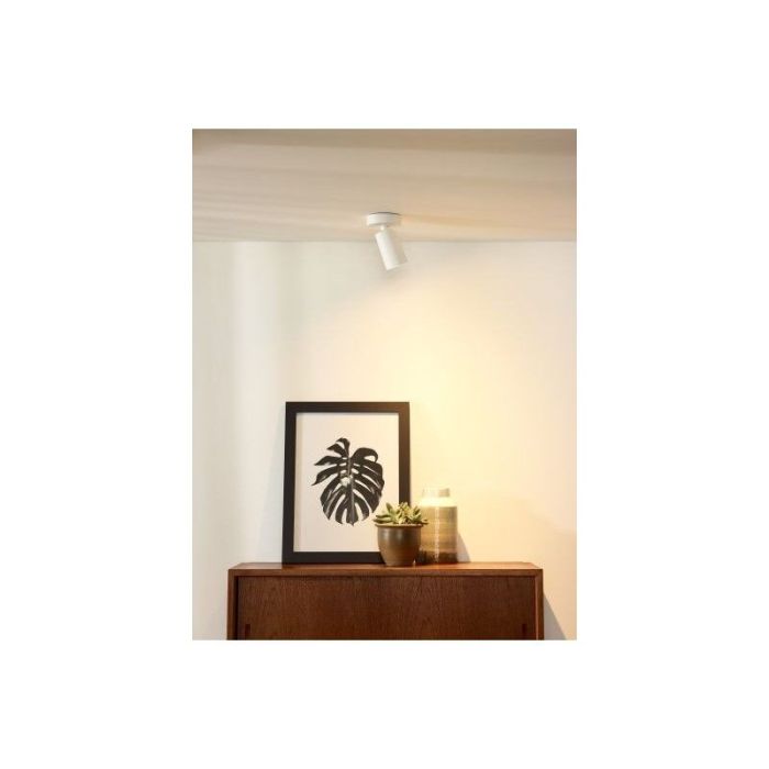 Hvid loftspot modern, Xyrus