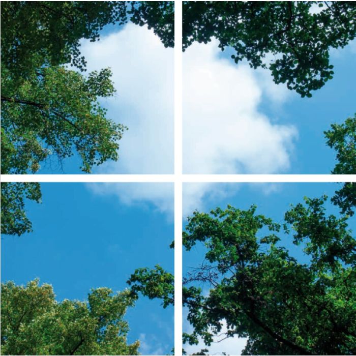 Fotoprintsky med skov - sæt med 4 akrylplader med print, til 60x60 cm LED-paneler