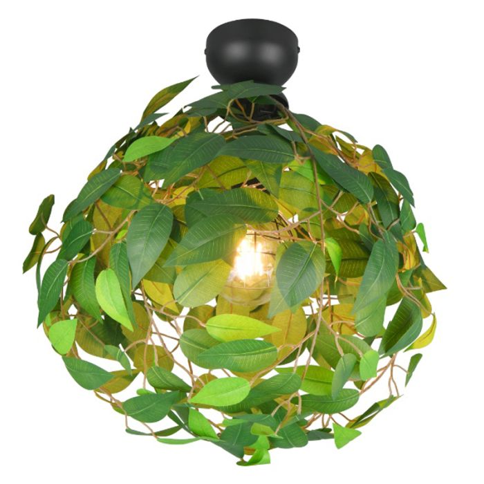 Grøn plafond design, Urwa