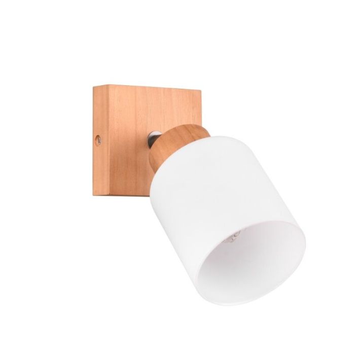 Træ vægspot brun, Myron
