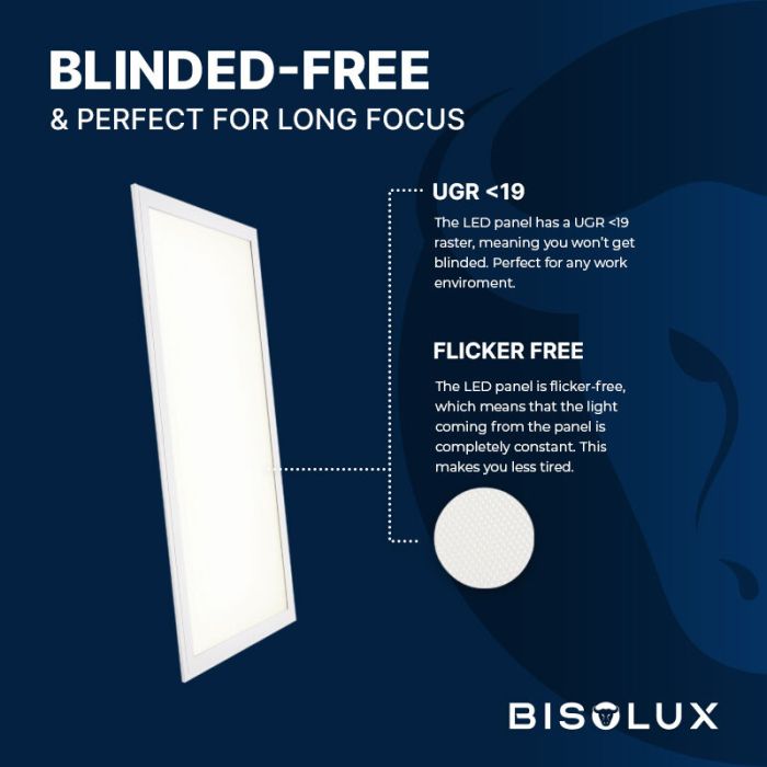 Bisolux Master LED 60x120 panel, 60W, 3000K